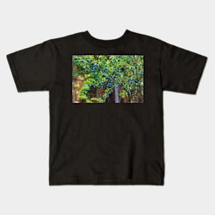 Plum tree in an orchard Kids T-Shirt